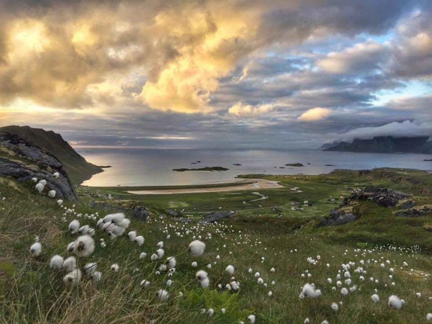Fredvang Farm House - Lofoten Extérieur photo